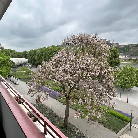 Apartment Mit Rheinblick By Moliho