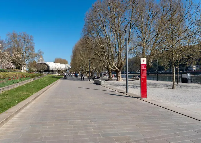 Mit Rheinblick By Moliho Apartment