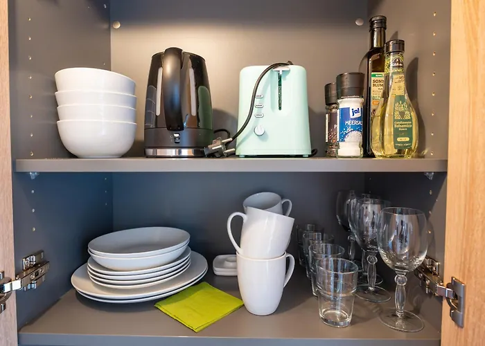 Mit Rheinblick By Moliho Apartment