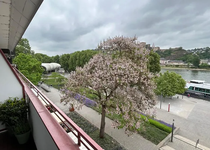 Apartment Mit Rheinblick By Moliho